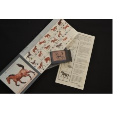 Janome EMB DESIGN CARD #123 - Horse Designs