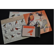 Janome EMB DESIGN CARD #31 - Birds